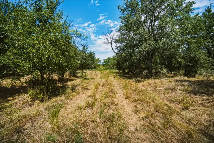 Perrin, TX 76486