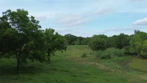Kerens, TX 75144