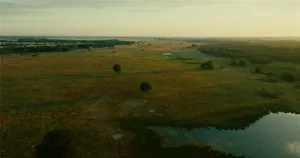 Wills Point, TX 75169