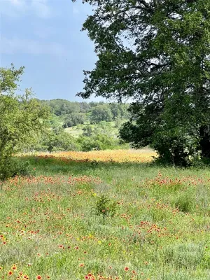Walnut Springs, TX 76690