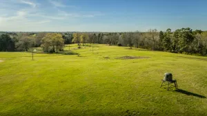 Gladewater, TX 75647