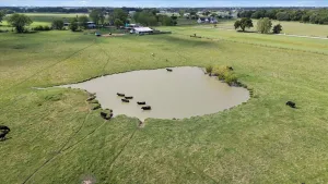 Pilot Point, TX 76258