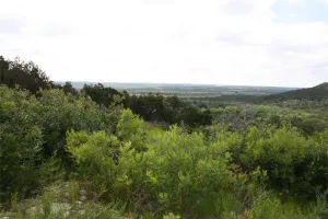 Strawn, TX 76475
