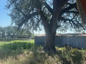 Sonora, TX 76950