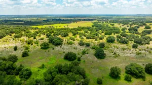 Walnut Springs, TX 76690