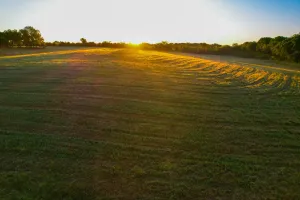 Dodd City, TX 75438
