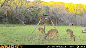 Graford, TX 76449