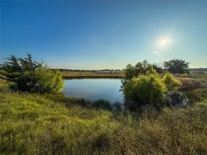 Honey Grove, TX 75446