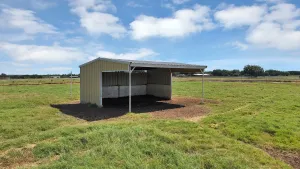 Tioga, TX 76271