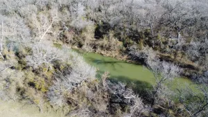 Lewisville, TX 75028