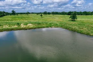 Mexia, TX 76667