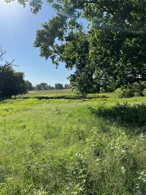 Tyler, TX 75706