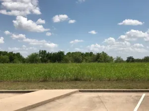 Hillsboro, TX 76645