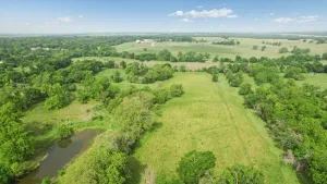 Honey Grove, TX 75446