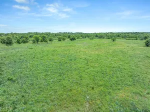 Edgewood, TX 75117