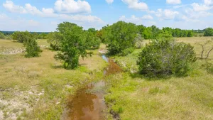 Carlton, TX 76436