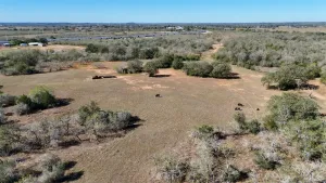 Gonzales, TX 78632