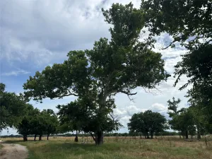 Valley View, TX 76272