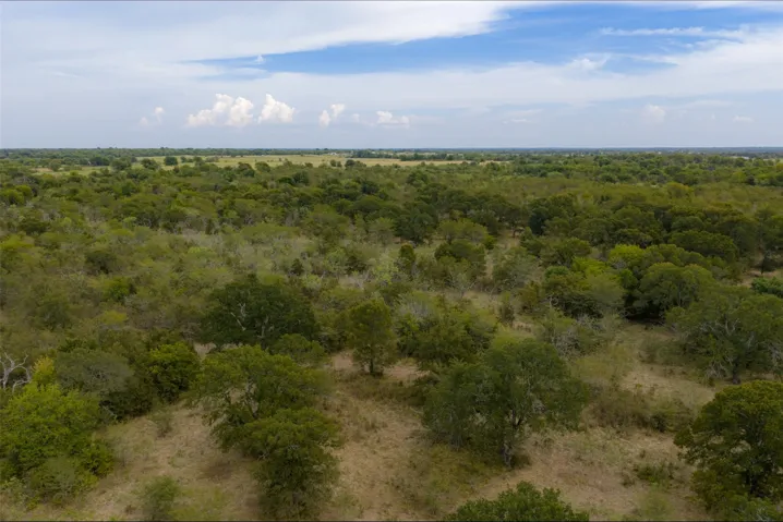 Wills Point, TX 75169