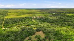 Hallettsville, TX 77964