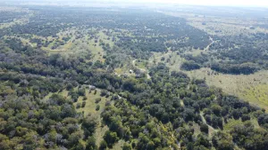 Carlton, TX 76436