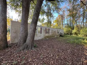 Jasper, TX 75951