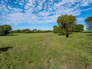 Meridian, TX 76665
