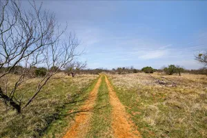 Graford, TX 76449