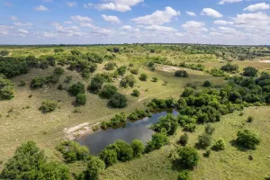Hamilton, TX 76531