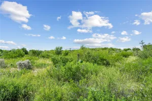 Uvalde, TX 78801