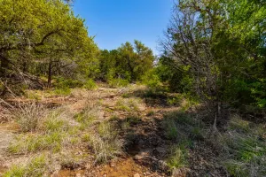 Coleman, TX 76834