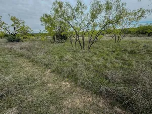 Voss, TX 76888