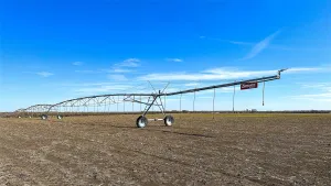 Clarksville, TX 75426