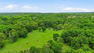 Bowie, TX 76230