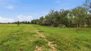 Hallettsville, TX 77964