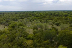 Wills Point, TX 75169