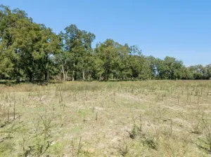 Gonzales, TX 78629
