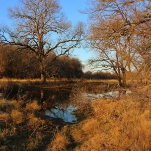 Bridgeport, TX 76426