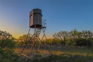 Comanche, TX 76442