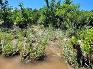 Lampasas, TX 76550