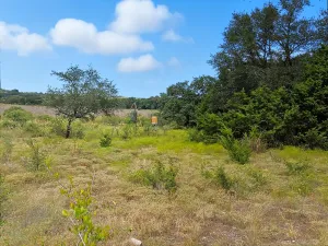 Jonesboro, TX 76538