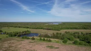 Gordonville, TX 76245