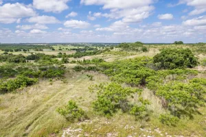 Hamilton, TX 76531