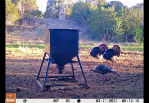 Coleman, TX 76834