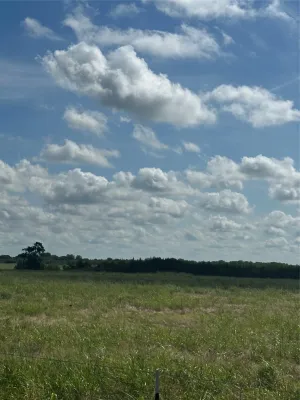 Honey Grove, TX 75446