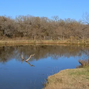 Bridgeport, TX 76426