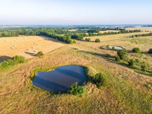 Honey Grove, TX 75446