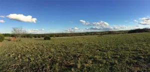 Lampasas, TX 76550
