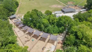 Paradise, TX 76073