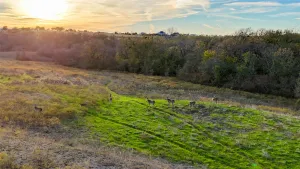 Ponder, TX 76259